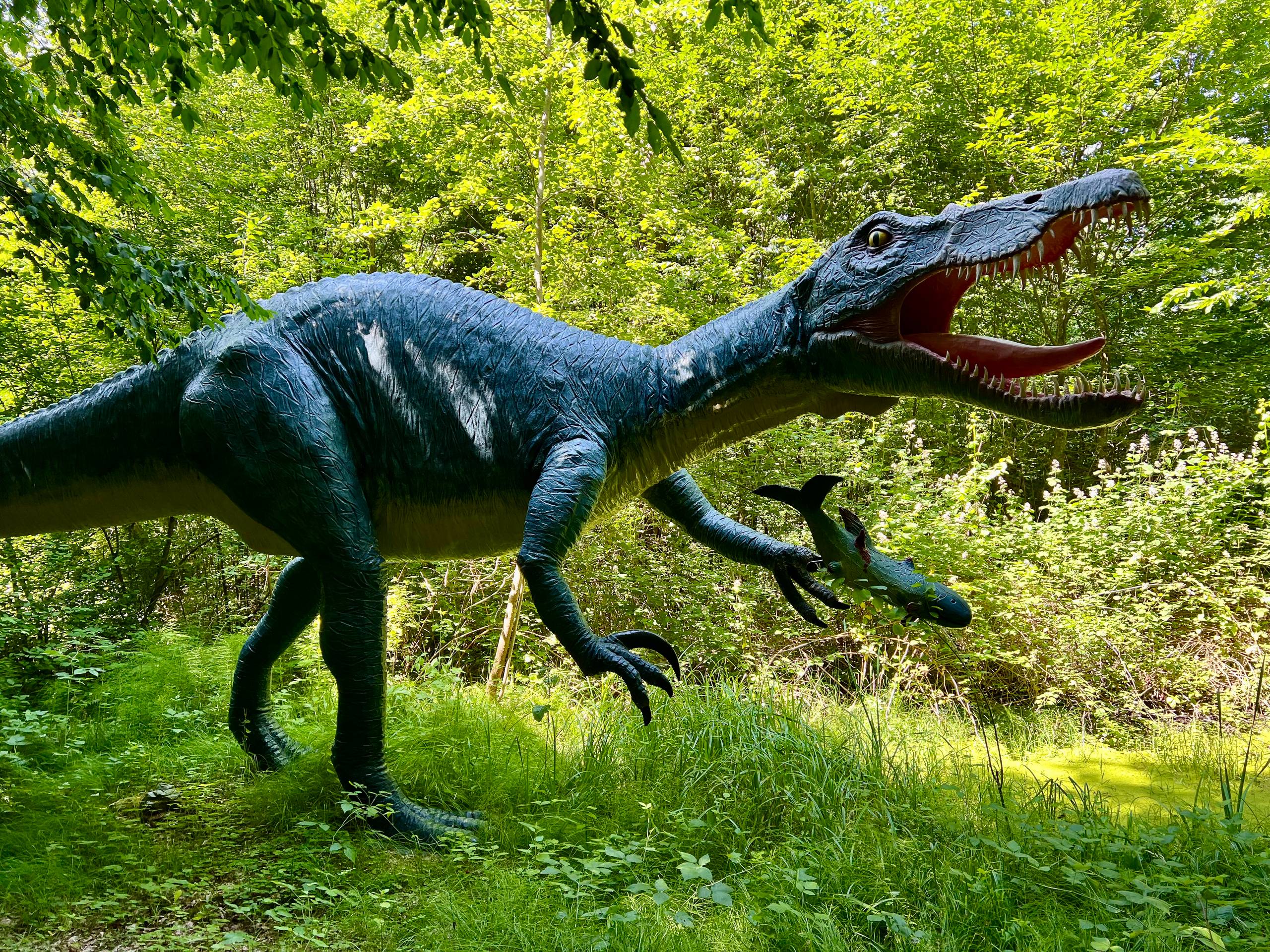 2025 Bad Gleichenberg   145